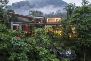 Rooms with a view in the cloud forest