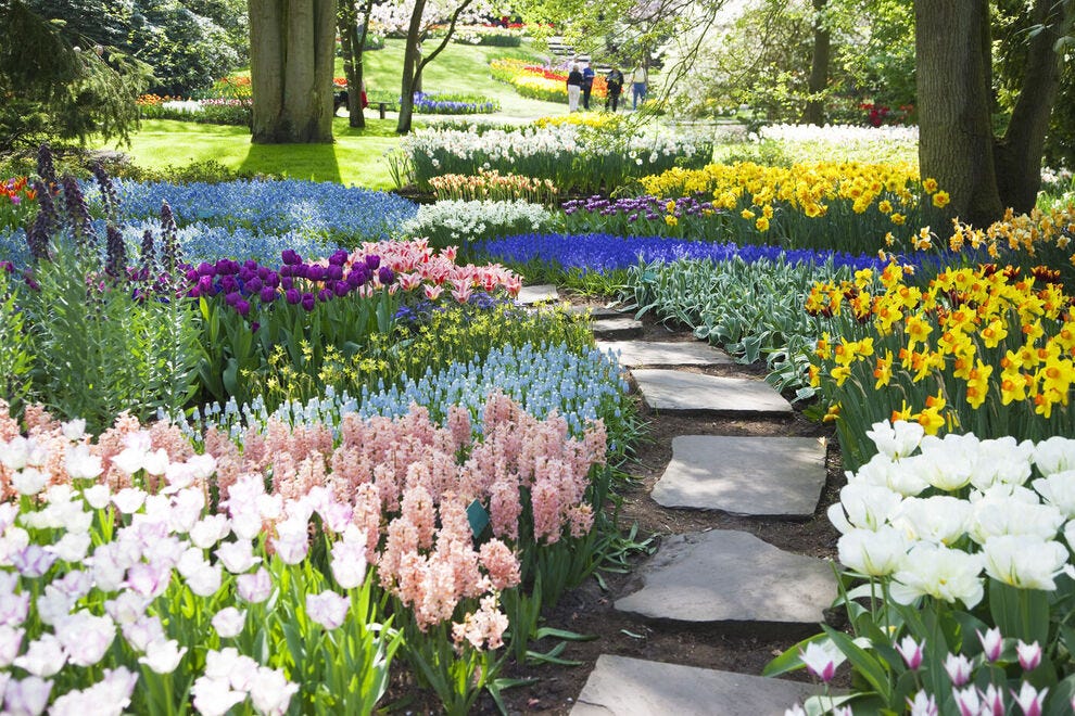 Les jardins botaniques contribuent à promouvoir et à conserver la diversité végétale de notre planète