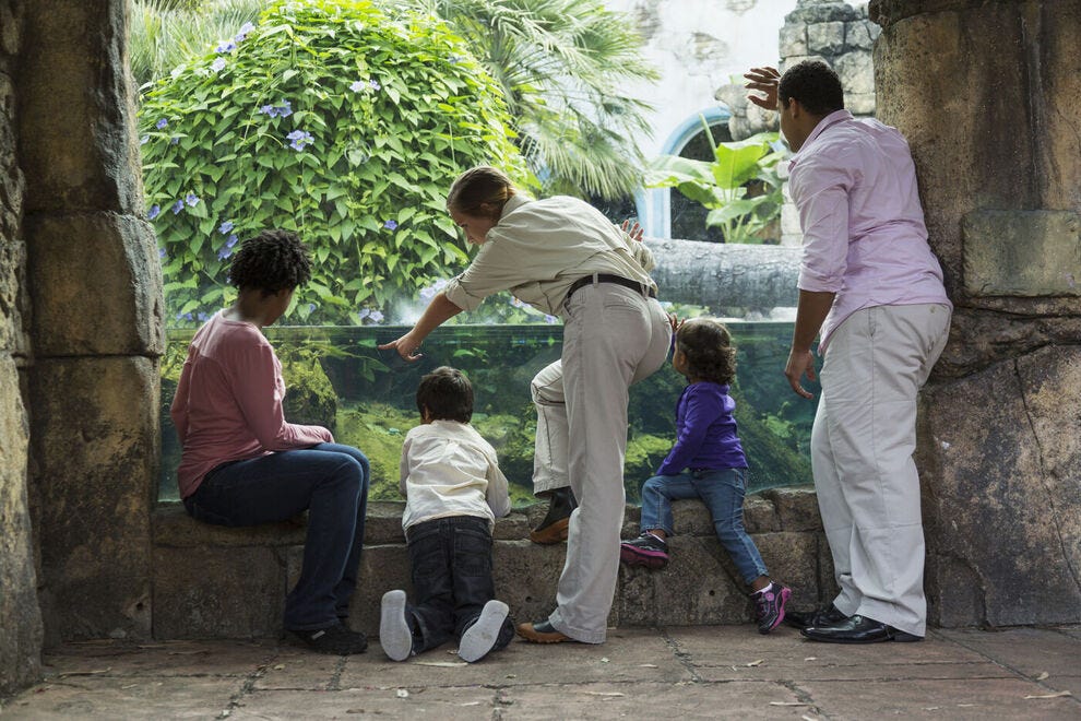 Rien ne vaut une visite au zoo pour inspirer une appréciation de la diversité des animaux que nous avons sur notre planète