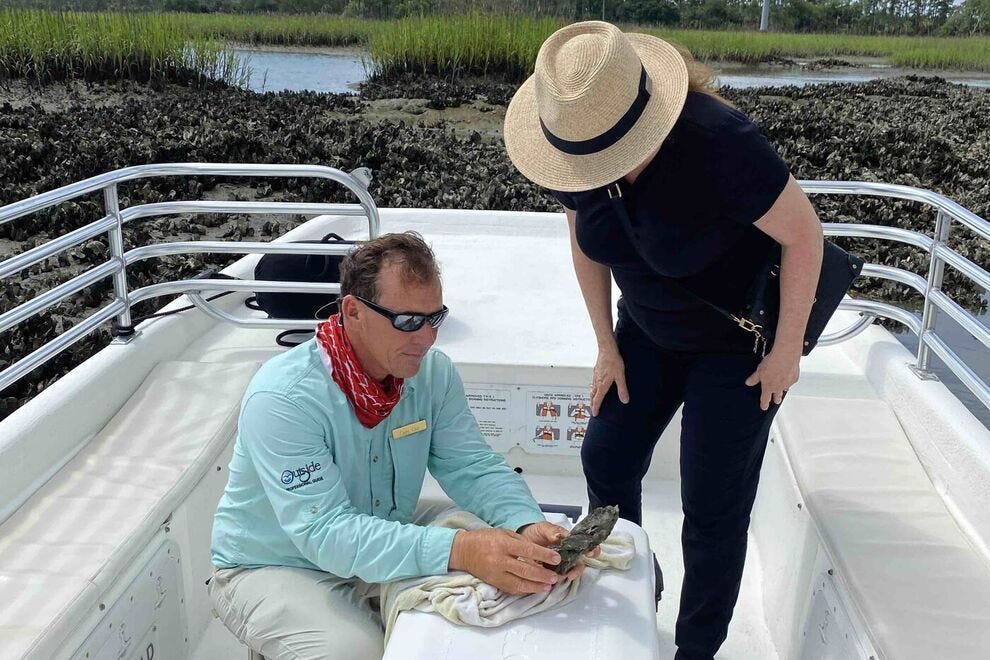 Inspection des huîtres sur la rivière May