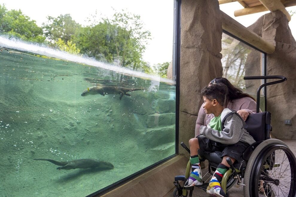 Le zoo pour enfants de Fort Wayne est une grande attraction familiale