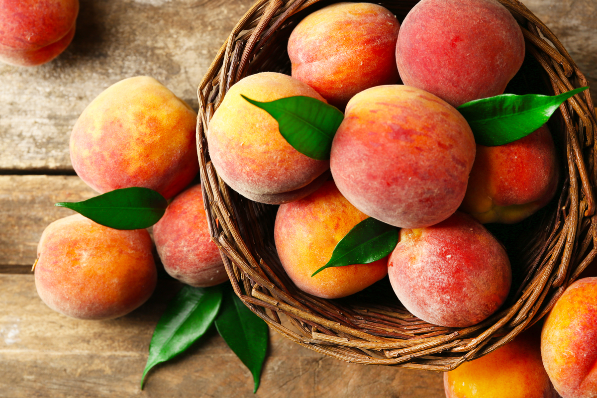 propriétés et recettes avec ce fruit fantastique