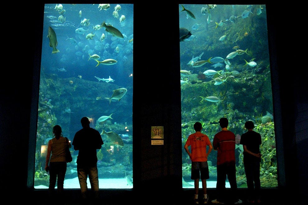 Aquariums de Caroline du Nord