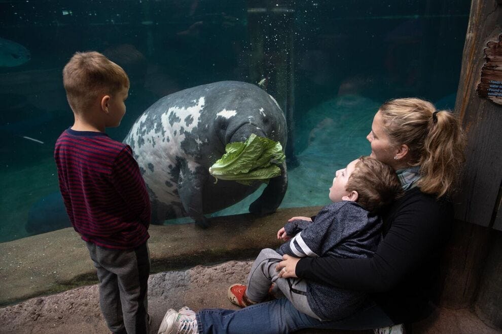 Zoo et aquarium de Colomb