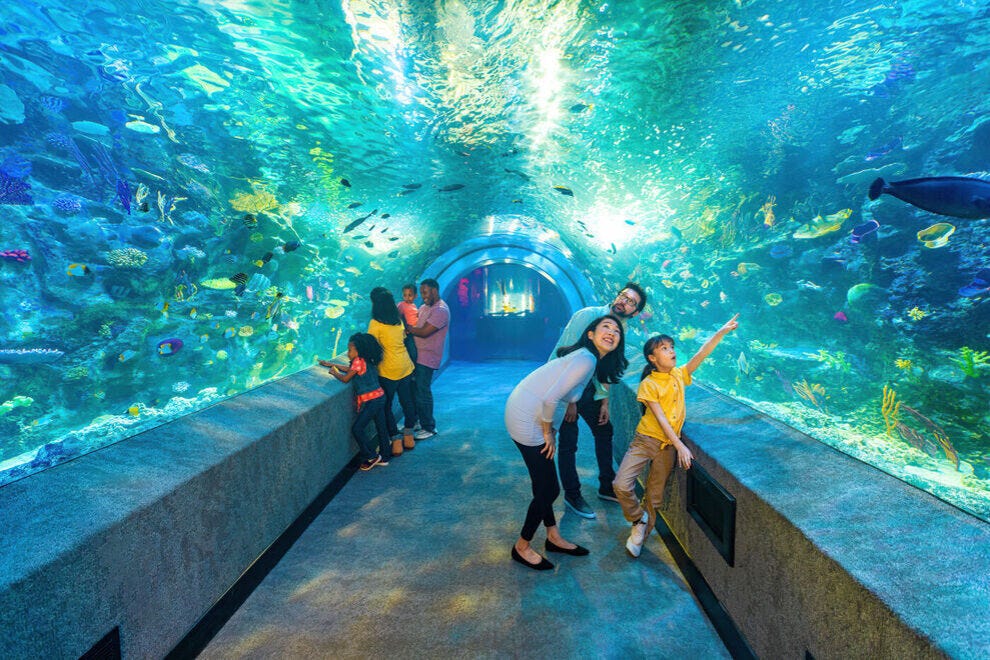 Aquarium de Newport