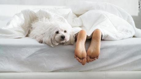 Les mythes du sommeil qui peuvent vous empêcher de passer une bonne nuit de sommeil