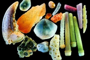 Que contient le sable vu au microscope ?  Images spectaculaires