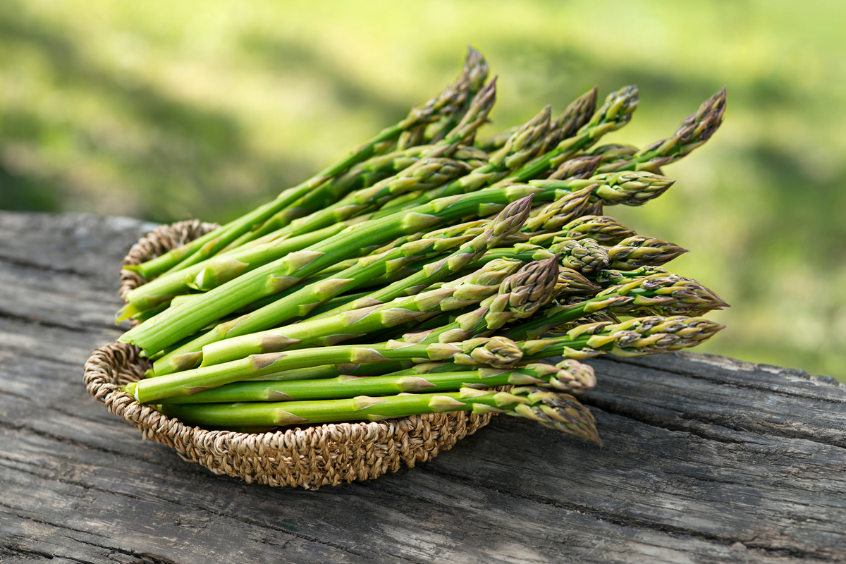 propriétés, bienfaits, recettes et utilisations en cuisine