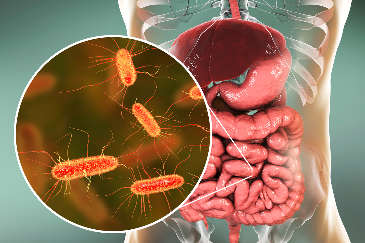 Lire la suite à propos de l’article qu&rsquo;est-ce que c&rsquo;est et comment prévenir les infections