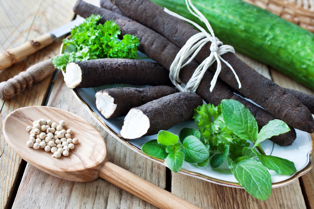 Scorsonère, propriétés et recettes de l&rsquo;aspérago d&rsquo;hiver