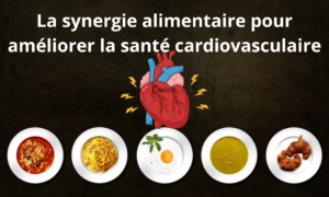 La synergie alimentaire pour améliorer la santé cardiovasculaire