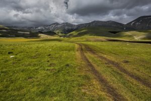 que faire et que voir