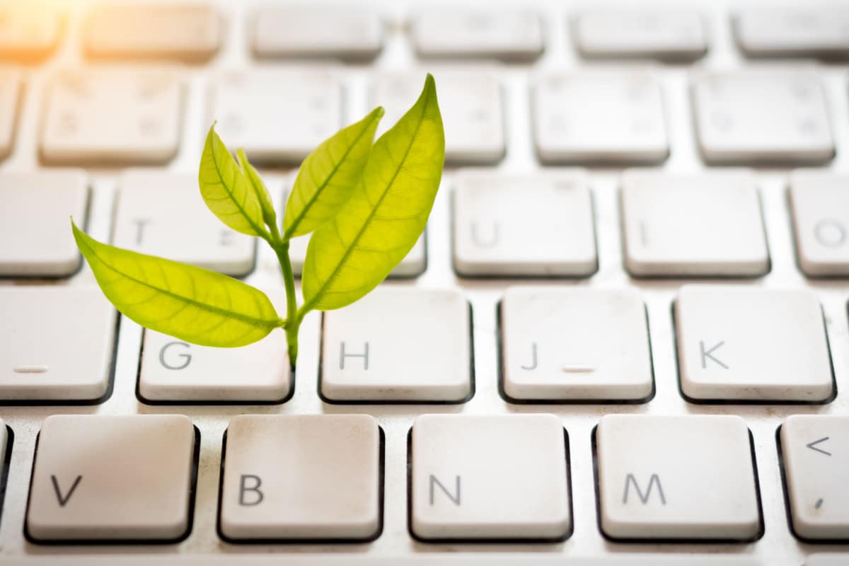 Qu'entend-on par informatique verte ?