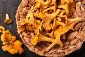 caractéristiques, saveurs, propriétés et diverses recettes