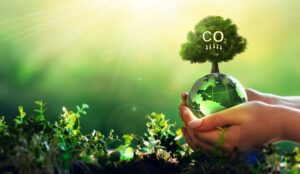 ce qu'ils sont, les effets sur l'environnement et comment les réduire