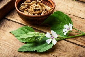 Guimauve, propriétés, utilisations et contre-indications de cette herbe médicinale