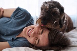 Parce que les chiens se lèchent, leurs maîtres et les autres chiens