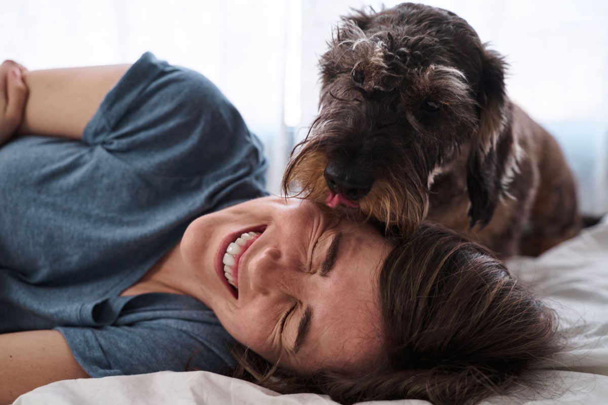 Parce que les chiens se lèchent, leurs maîtres et les autres chiens