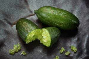 propriétés, utilisations et culture de la plante