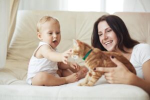 Comment calculer l'âge d'un chat par rapport aux années d'un humain : exemples