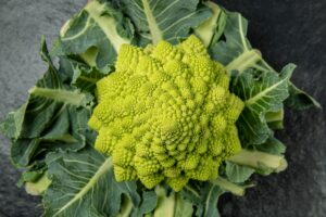 Recettes avec du chou romain