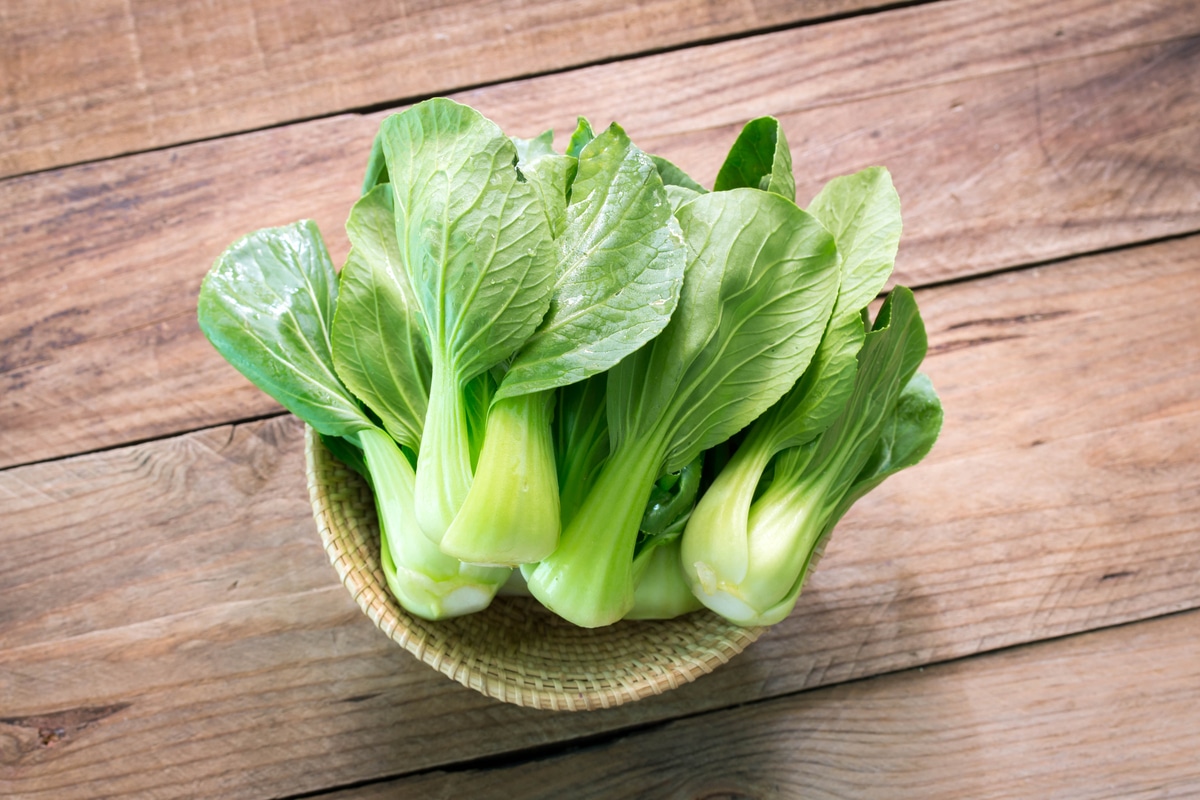 propriétés et recettes du chou chinois
