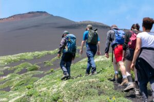 Parc Naturel Régional de l'Etna : un patrimoine naturaliste unique