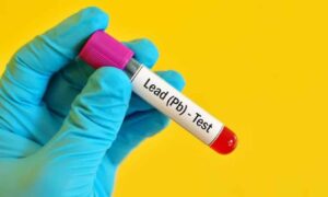 Plomb, aliments et risques pour la santé