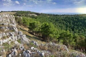 une perle naturaliste à découvrir