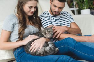 12 choses essentielles à savoir lors de l'adoption d'un chat