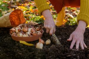 que faire dans le jardin ce mois-ci