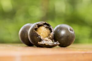 à quoi il est utilisé, utilisations en homéopathie et bienfaits