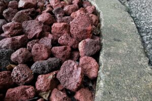 caractéristiques et principales utilisations dans les jardins et la construction