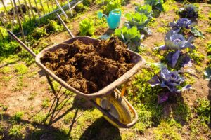 l'engrais naturel pour potagers et plantes fleuries et fruitières