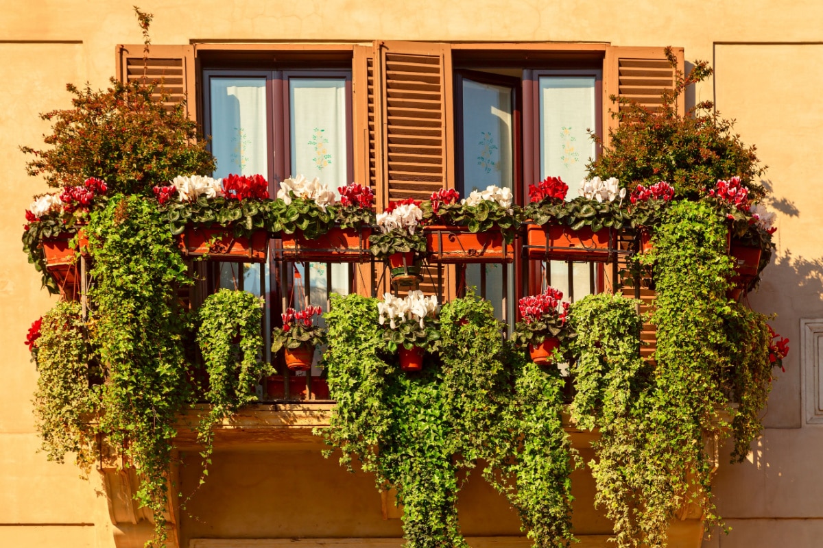 le meilleur pour décorer le balcon