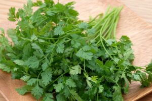 propriétés, utilisations et recettes de cette herbe sauvage