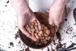 toutes les propriétés et ses utilisations