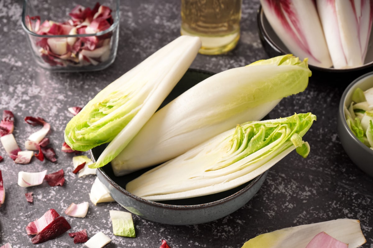 Endive belge ou chicorée de Bruxelles : propriétés et recettes