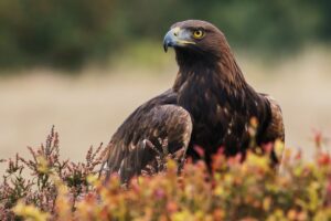 un trésor naturaliste à découvrir