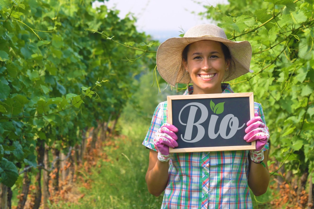 Tout sur le vin bio et l'étiquetage durable